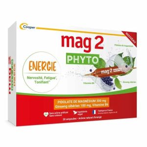 Mag 2 Ampoules Phyto Énergie x15